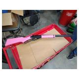 Daisy pink BB gun