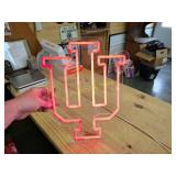 IU light up plugs in to USB