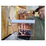 Led IU light works