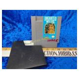 Nintendo game