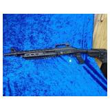 Silver eagle 12 gauge shotgun