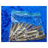 308 Winchester 19 count