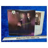 Stevie nicks The wild heart record
