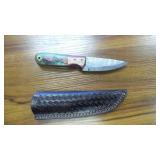 New Hunting Knife w/ Color Handle & Sheath