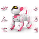 STEMTRON Programmable Remote Control Robot Cat Rob