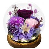 FIACO Mothers Day Flowers Gifts for Mom Flowers fo