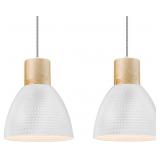 ELYONA 2 Pack Modern Pendant Light Fixtures, 10.2