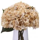 Kimura's Cabin 6pcs White Silk Hydrangea Flowers B