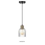 Globe Electric 67000096 1-Light Pendant Light, Mat