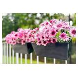 6 Railing Planters