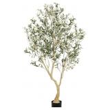 $110 LYERSE Olive Tree 6ft - Olive Trees Artificia