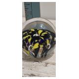 Zimmerman  glass  paperweight