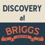OCTOBER 30 Discovery At Briggs Auction