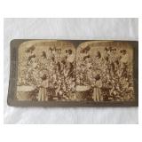 Vintage Black Americana Steroview Card