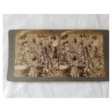 Vintage Black Americana Steroview Card