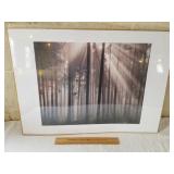 Filtered Light Print 19 x 27"