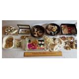 Costume Jewelry 1 Lot