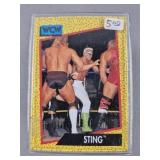 1991 Wrestling Card Set