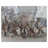 100ct Wheat Pennies Poor Condition