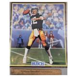 1989 Busch Beer Terry Bradshaw Poster 15 x 17"