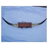 Vintage Steer Horns