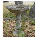 Bird bath