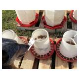 Chicken feeders
