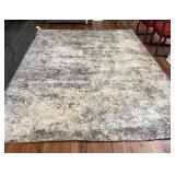 Rug 8X10 Safavieh