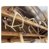 (3) Deer Antlers