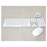 Apple Aluminum Keyboard and Mighty Mouse
