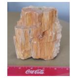 Mineral specimen - fossil fragment