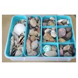Assorted collection of natural beach find