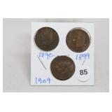 (3) Indian Head Cents