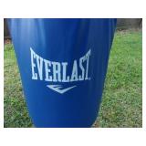 Everlast Punching Bag