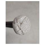 Antique Carved Ivory Turtle Handled Walking Cane