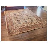 8'x11' Area Rug Karastan