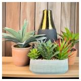 Group of Faux Succulents w/ Vase