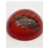 ARIZONA SCORPION PAPER WEIGHT