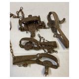 SMALL ANIMAL TRAPS MOSTLY VICTOR