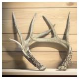 Pair of Deer Antlers
