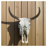 Vintage Cow Skull w/ Horns