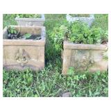 PAIR CONCRETE PLANTERS