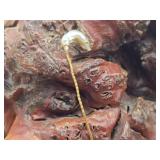 18K Gold & Pearl Ladies