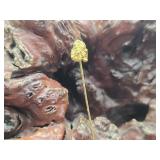 22 - 24K Gold Nugget Stick Pin on 18K Pin