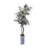 Faux Dogwood Tree in Galvanized Container 7 Feet