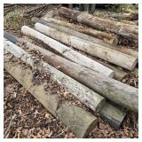 Pile #2 of Telephone Poles / Fence Posts (South)