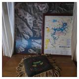Beaver Lake Aerial Photo, Map, & Pillow