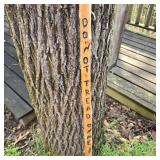 "Do Not Tread On Me" Walking Stick