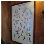 Signed Lawrence McQueen Hummingbird Reference