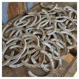 Lot of Aluminum Horseshoes